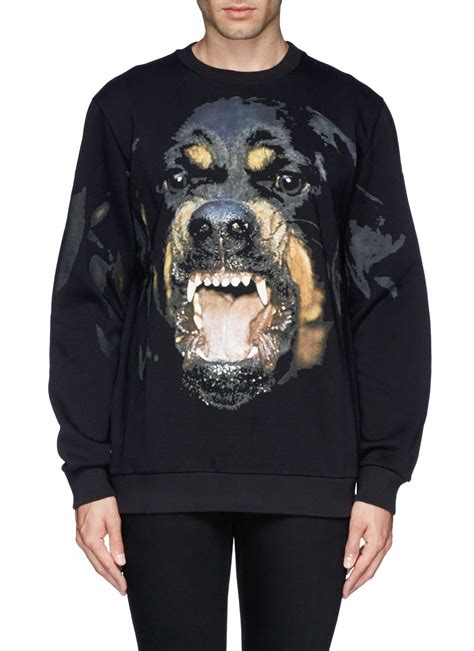 givenchy men's rottweiler sweatshirt|givenchy rottweiler print sweatshirt.